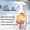 Z, variant on Heavy Duty Degreaser 2025 Kitchen Cleaner Multipurpose Oil Stain Remover Strong Grill Cleaner For Restaurant Cleaning Spray For Home Chefs 240ml Z