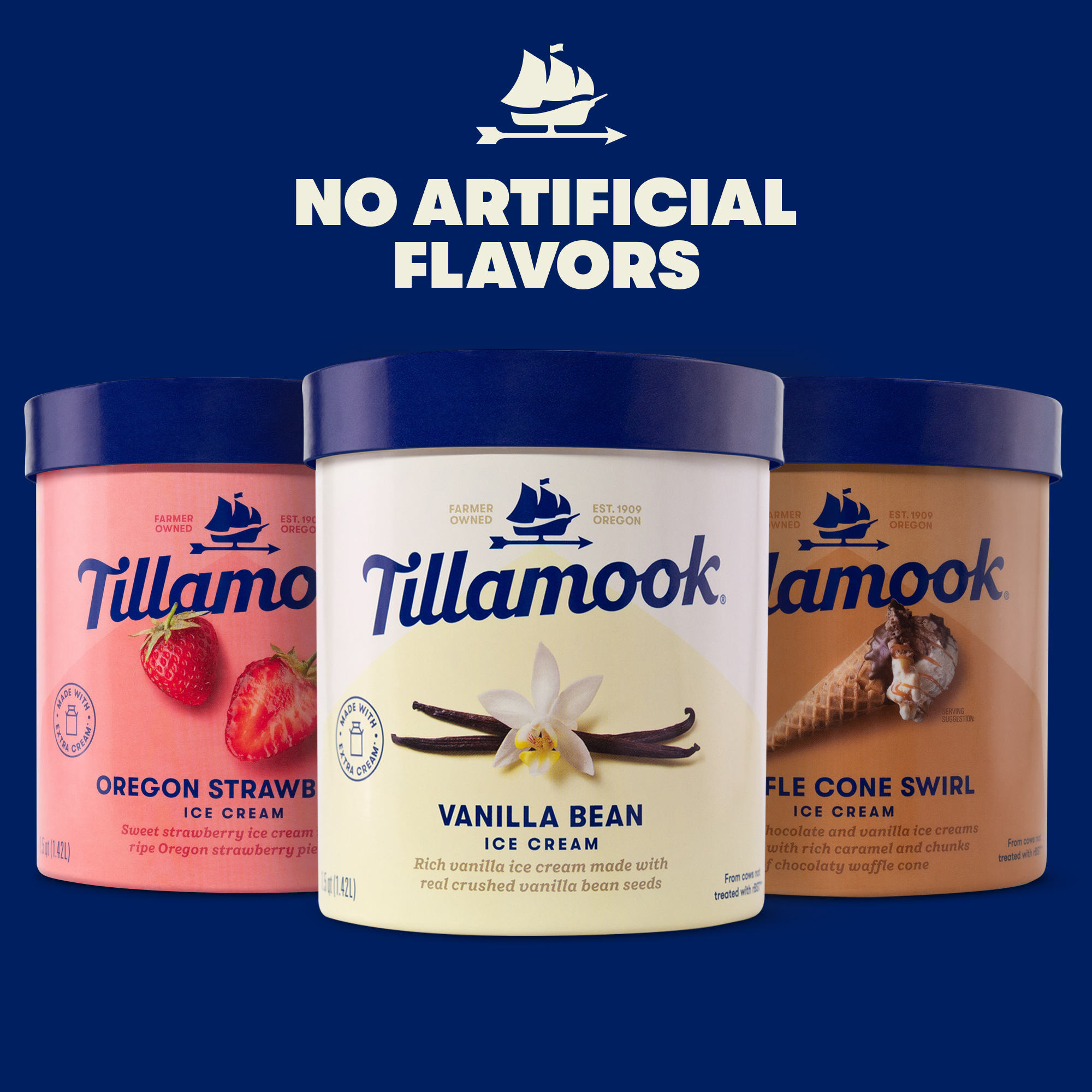 Tillamook Waffle Cone Swirl Ice Cream 48 Oz 2112