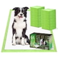 thumbnail image 1 of Almohadillas de adiestramiento para perros Croci ECO Green, extra grandes, 70 x 85 cm, 40 unidades, 1 of 7