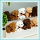 thumbnail image 5 of Miniperros de peluche Liliful de peluche, 12 cm, 40 unidades, bolsa de regalo, 5 of 7