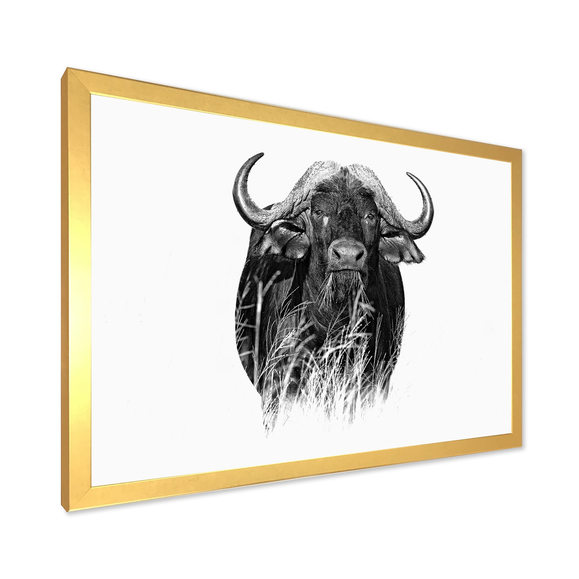 Designart 'Black and White Portrait Of Buffalo IV' Farmhouse Framed Art Print