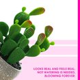 thumbnail image 3 of Decoraciones creativas de plantas tropicales artificiales de bonsái de cactus artificiales, 3 of 5