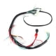 thumbnail image 3 of Arnés De Cableado De Arranque Eléctrico Arnés De Cableado De Arranque Arnés De Cableado De Encendido Telar Arnés De Cableado Del Motor De Arranque Accesorio Del Sistema De ANGGREK Ignition System Accessory, 3 of 8