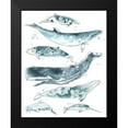 thumbnail image 2 of Vess, June Erica 20x24 Black Modern Framed Museum Art Print Titled - 3-UP Cetacea II, 2 of 5