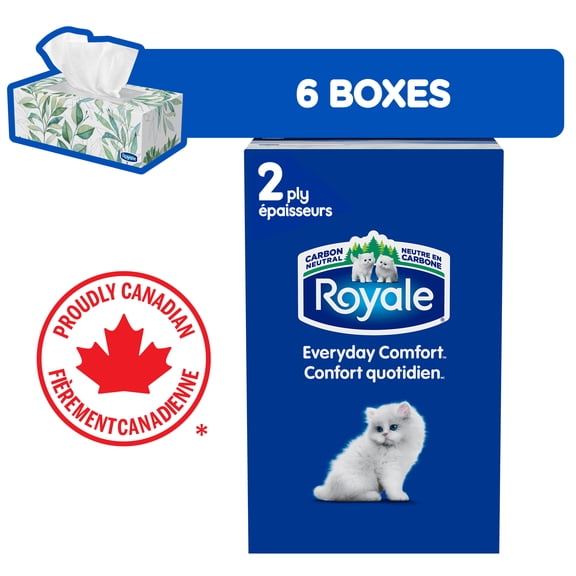 Royale Everyday Comfort, 2 Ply Facial Tissue, 6 Flat Boxes, 126 Tissues per Box