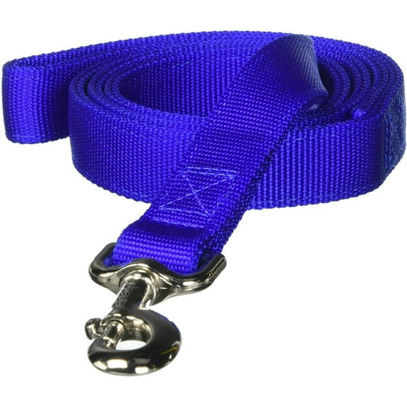 Coastal Pet Products Nylon Double Dog Collar and Double Ply Dog Leash