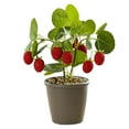 thumbnail image 1 of Plantas en macetas con frutas, adornos creativos de escritorio para el hogar, flores de simulación, plantas verdes, plantas en macetas con frutas, 1 of 5