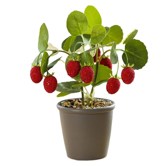 Plantas en macetas con frutas, adornos creativos de escritorio para el hogar, flores de simulación, plantas verdes, plantas en macetas con frutas