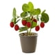 thumbnail image 1 of Plantas en macetas con frutas, adornos creativos de escritorio para el hogar, flores de simulación, plantas verdes, plantas en macetas con frutas, 1 of 5