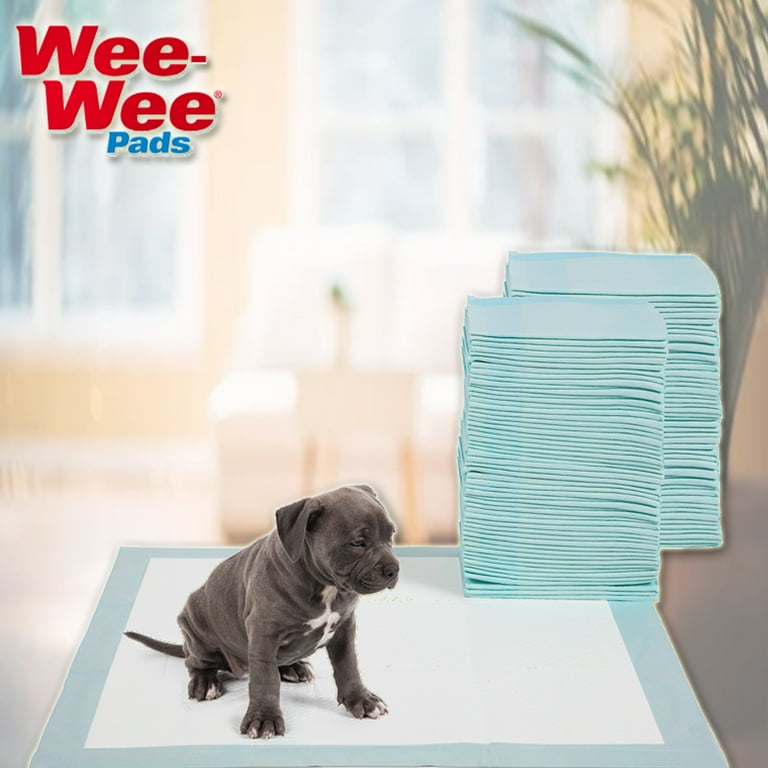 Little wee wee pads sale