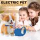 thumbnail image 3 of Juguete Peluche Interactivo Electrónico Con Correa Control Remoto para Pequeños (F), 3 of 9