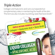 سائل الكولاجين + حمض الهيالورونيك من Applied Nutrition - 10 أنابيب سائلة - ترميم البشرة والأظافر - بنكهة التوت المختلطة - 10 حصص