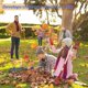 thumbnail image 2 of Metal Kids Leaves Rakes and Kids Gloves,Small Kids Lawn Rakes with Wooden Handle,Garden Tool Set for Kids Boys and Girls, 2 of 4