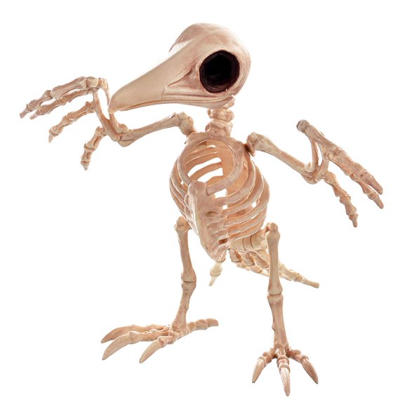 Squelette Effrayant Corbeau Os Ornement d'Oiseau Accessoire d'Halloween Maison Hantée