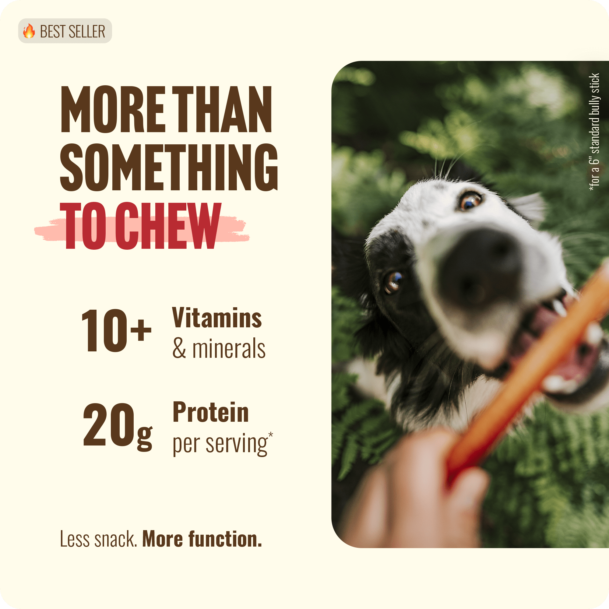 Natural Farm Odor-Free Thin Bully Sticks (12”, 25-Pack) All-Natural Long-Lasting Dog Chews, 100% Beef Pizzle, Grass-Fed, Grain-Free, Protein for Muscle Development & Energy, Perfect for Large Dogs