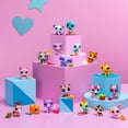 thumbnail image 3 of Littlest Pet Shop Dolls- Pet Surprise Display, 18 Pet Collector Set  Series 2 - LPS Gen 7,  Girls, Boys,  Ages 4+, 3 of 4
