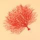 thumbnail image 1 of Raindrops 1Ud Rama De Coral Falsa Roja Plástica Para De Ambientes Y Acuarios, 1 of 6