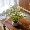 thumbnail image 4 of Realistic Mini Bamboo Leaf Potted Plant, 4 of 13