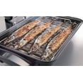 thumbnail image 3 of ZOJI Zojirushi America EF-VPC40 Fish Roaster, Metallic Gray, 3 of 4