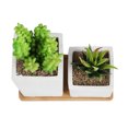 thumbnail image 2 of K-Cliffs Home Decor, Faux Succulents in Square Shaped White Cement Pot with Saucer for Home or Office  Set of 2, 2 of 4
