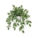 thumbnail image 2 of Hogar y cocina, Decoración del hogar, Adornos, Plantas verdes artificiales Simulación en maceta Hogar Oficina Hotel Decoración Plantas verdes Decoración del hogar Plantas artificiales, Planta artifici, 2 of 6