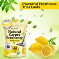 thumbnail image 4 of Aromasong Citrus Carpet Deodorizer Powder, 2 Pack, 26 oz, Natural Carpet Freshener, Safe for Pets, Odor Eliminator, 4 of 10