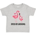 thumbnail image 3 of Inktastic Grandma Loves Me Flamingo Grandchild Gift Girls Toddler T-Shirt, 3 of 5