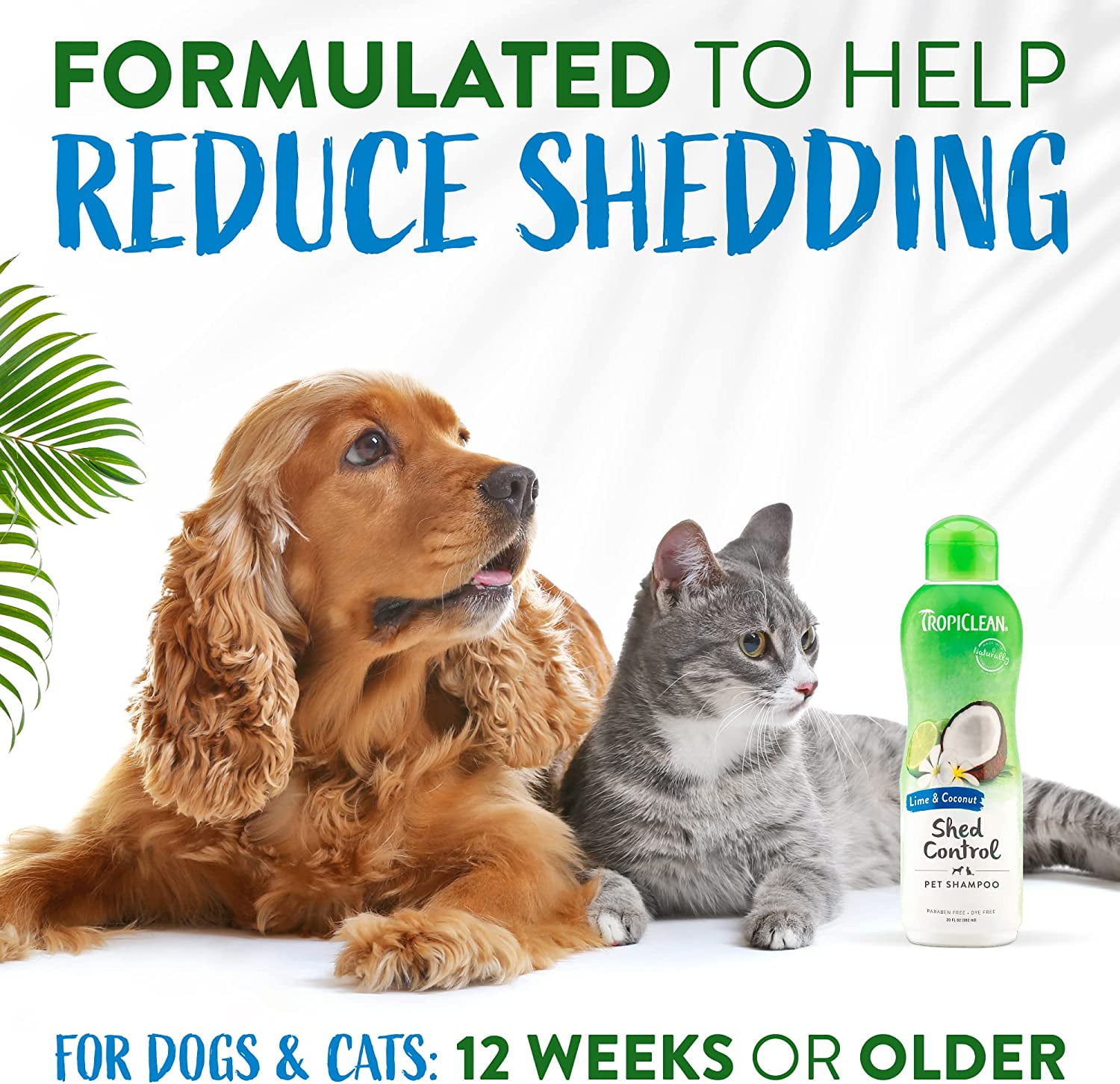 Dog shampoo to stop cheap shedding