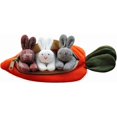 thumbnail image 1 of Peluche con forma de conejito de peluche, conejo HUOGUO, con monedero con forma de zanahoria, 7.5 pu, 1 of 5