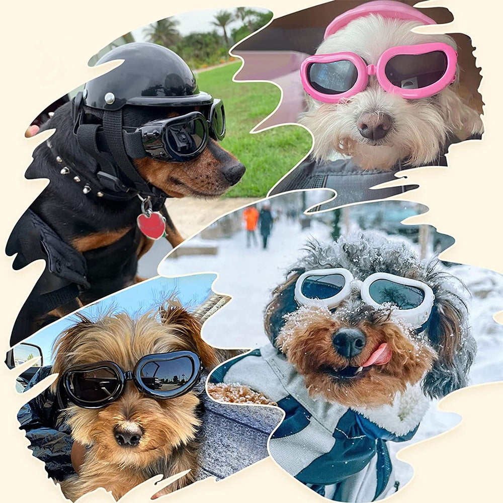Lunettes de Soleil pour Chat et Chien Lunettes de Soleil