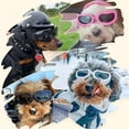 thumbnail image 5 of Gafas de sol para perros y gatos pequeños Gafas de sol cómodas para mascotas, 5 of 5