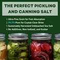 Pickling and Canning Salt, Curing Salt for Natural Preserving, Non