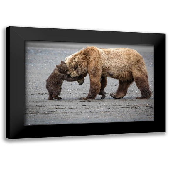 Doyle, Renee 14x11 Black Modern Framed Museum Art Print Titled - A Little Bear Hug