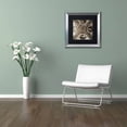 thumbnail image 3 of Trademark Fine Art "Giardini Italiano V" Canvas Art by Alan Blaustein, Black Matte, Silver Frame, 3 of 4