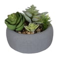thumbnail image 1 of hometrends Tessier Faux Succulents in Gray Pot, 1 of 5