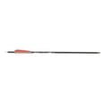 thumbnail image 2 of Bear X TrueX Max Crossbow Bolts, 2 of 7