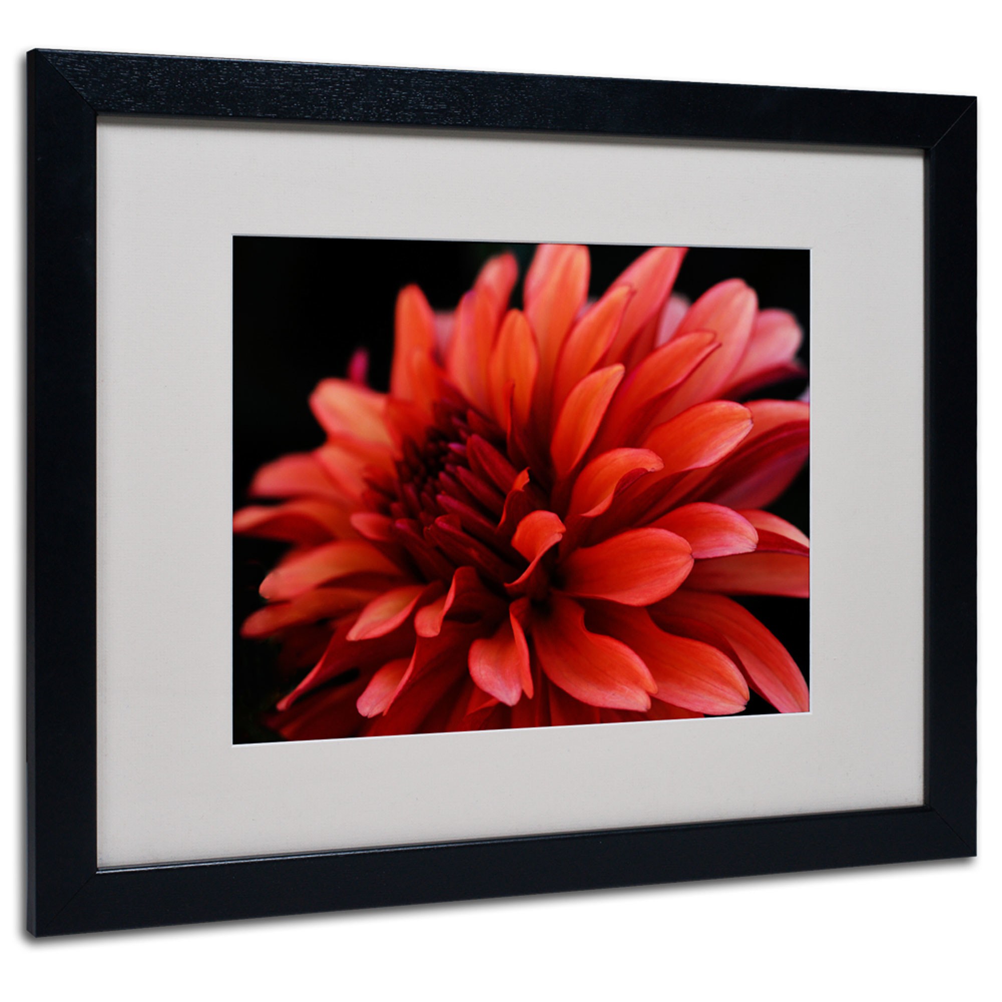 Trademark Art 'Red Dahlia' Matted Framed Art by Kurt Shaffer