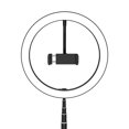thumbnail image 1 of Led Ringlight with Phone Holder,10 in Ring Light with Stand, Foldable, Stretchable Portable Selfie Desk Fill-Light, Circle Lights for Selfie/Live Stream/Makeup, 1 of 9