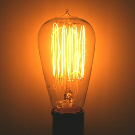 - Satco 02413 - 40 watt 120 volt ST19 Cage Style Filament Medium Screw Base Clear (40ST19/CL/15S/120V VINTAGE S2413)