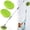 Green, variant on Wall Cleaner, Max 66'' Wall Mop with Long Handle, Ceiling Dust Mop with 15? Labor-Saving Elbow Extension Pole, Baseboard Duster Washer , High Window Cleaning Brush, Roof Cleaning Tool-GN