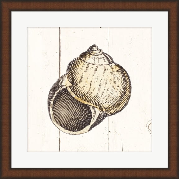 Shell Sketches II Shiplap by Wild Apple Portfolio, Framed Wall Art, 19.75W x 19.75H