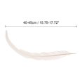 thumbnail image 2 of Uxcell 16-18 Inch Rooster Feathers, 10 Pack Bulk Natural Feathers for Crafts Style 1, White, 2 of 6