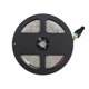 thumbnail image 3 of Teissuly 12V 5M SMD 3528 300LED Non Flexible Warm Cool White Strip Light Teissuly WER202312022904, 3 of 3