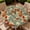 3D Flowers, variant on ARTSLION Elastic Tablecloth For Round Tables, Waterproof Tablecover For Up To 71in Round Table, Dining Tablecover For Indoor And Outdoor, Holiday, Blue Flower