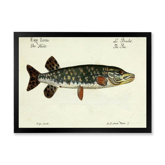 Designart 'Portrait Of A Green Fish On Beige' Nautical & Coastal Framed Art Print