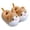 Khaki, variant on LYHaoo Girls Cartoon Slippers Warm Indoor Winter Shoes For Children Toddler Kids Cozy Home Footwear Sizes 6.5 Little Kid 1-1.5 Years