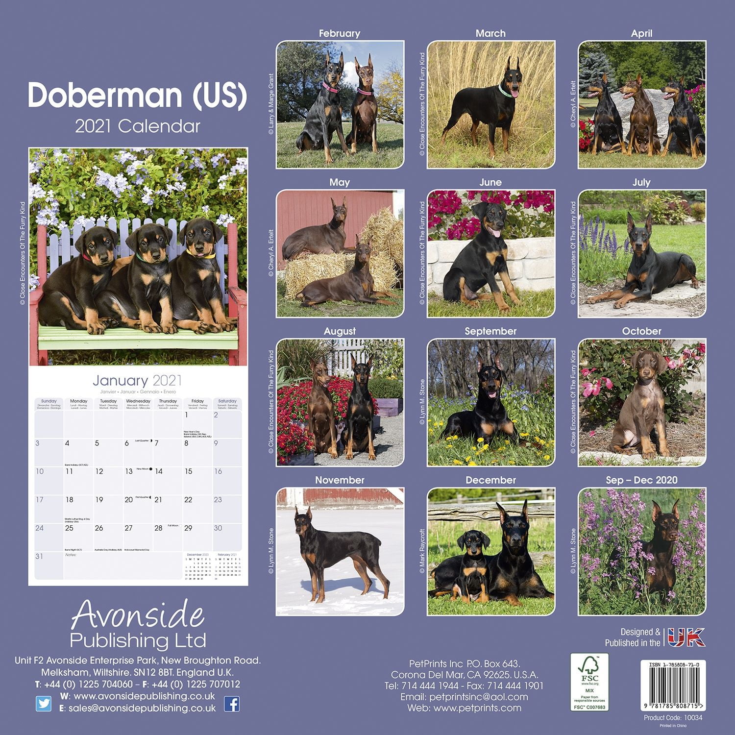 Doberman Calendar 2022 February Calendar 2022