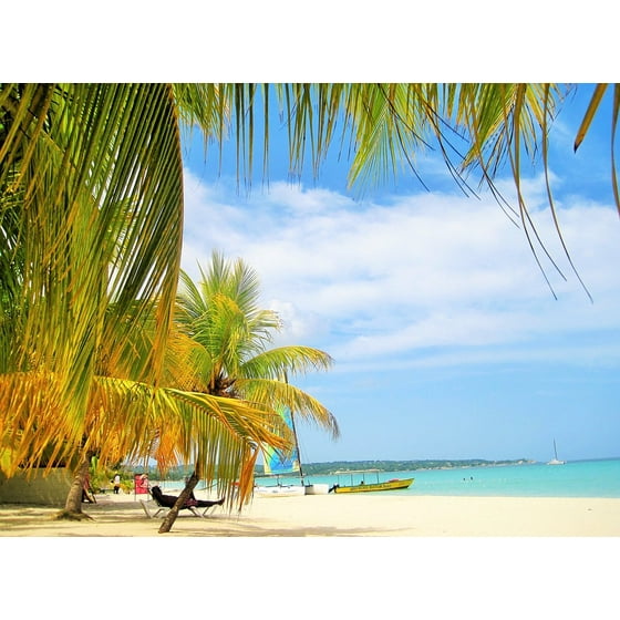 Framed Art For Your Wall Palm Trees Gorgeous Beach Typical