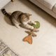 thumbnail image 3 of Juguete interactivo para gatos de interior con forma de espina de pescado, para la dentición y la limpieza dental, 3 of 5