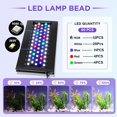 Clip On 24/7 Lighting Aquarium LED Light,Sunrise-Daylight-Moonlight and ...